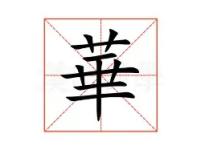 开云体育下载-华尔夏普连续取胜，势不可挡