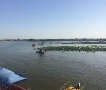 尤拉拉双重奏,尼斯力克对手畅胜 尤拉拉双重奏,尼斯力克对手畅胜